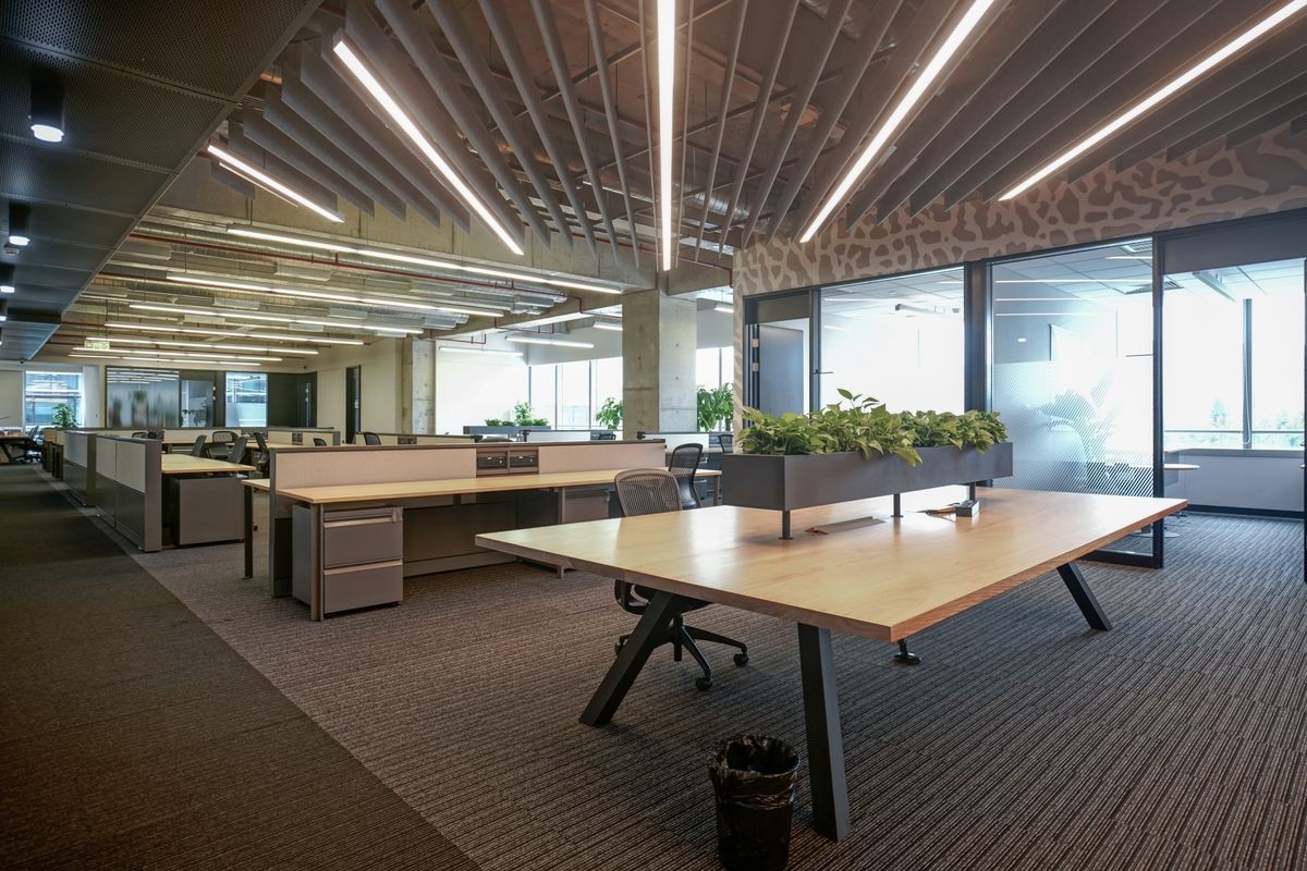 Empty office with Original concrete ceiling and wooden furniture.